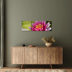 Obraz - Lekno (s hodinami) (90x30 cm)