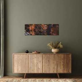 Obraz ležiacich psov (s hodinami) (90x30 cm)