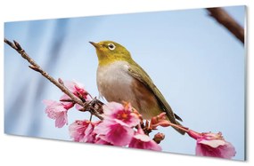 Obraz na akrylátovom skle Vták na vetve 100x50 cm