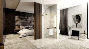 Rea Aero, sprchová zástena typu Walk-In 110cm, 8mm číre sklo, zlatý lesklý profil + polička a vešiak EVO, KPL-K8441