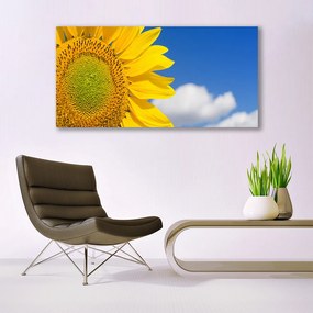Obraz na akrylátovom skle Slnečnica mraky 120x60 cm