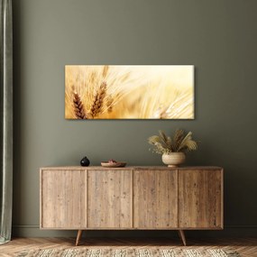 Obraz - detail obilia (120x50 cm)