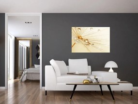 Obraz - Makro fotografie púpavy (90x60 cm)