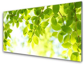 Nástenný panel  Listy príroda rastlina 100x50 cm