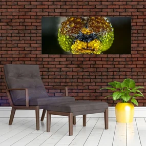 Detailný obraz očí hmyzu (120x50 cm)
