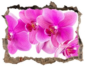 Samolepící díra nálepka Ružová orchidea nd-k-67673367