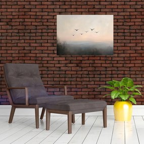 Obraz - Hejno vtákov (70x50 cm)