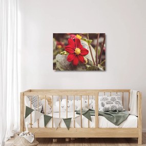 Sklenený obraz kvetiny (70x50 cm)