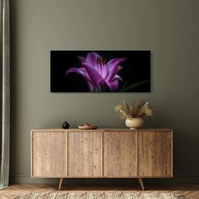 Obraz ľalia (120x50 cm)