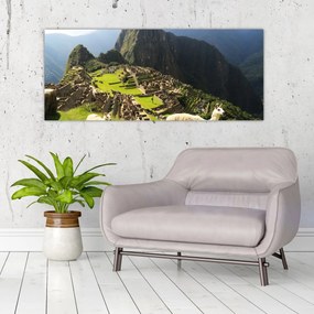 Obraz - Machu Picchu (120x50 cm)