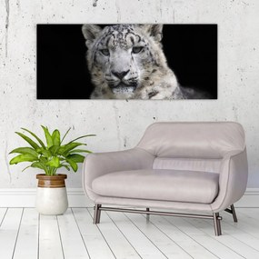 Obraz - Leopard snežný (120x50 cm)