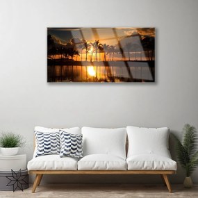 Obraz na skle Stromy slnko krajina 140x70 cm