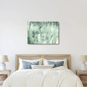 Obraz - Zelená lúka (70x50 cm)