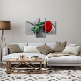 Obraz - Červená ruža so zelenou stonkou (90x60 cm)