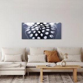 Obraz - Pierko (120x50 cm)
