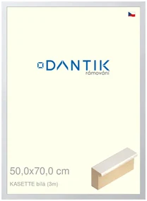 DANTIK rám na obraz 50x70 | KASSETTE bílá (Plexi Čiré)