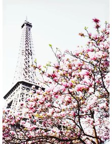 Obraz tlačený na plátne 50x70 PRC1123