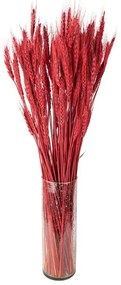 Červená kvetina pšeničné sušené klasy - 80 cm (200 gr)