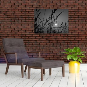 Obraz - Lúka so západom slnka (70x50 cm)
