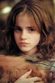 Umelecká tlač Harry Potter - Hermione Granger, (26.7 x 40 cm)