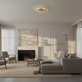 Stropné LED svietidlo Lorenzo, 1x LED 22w, 4000k, g