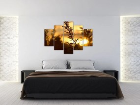 Obraz - Slnko zapadajúce za stromami (150x105 cm)