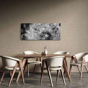 Obraz - páperie púpav (120x50 cm)