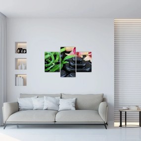 Obraz - Kamene a orchidey (90x60 cm)