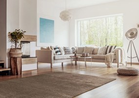 Sintelon, Kusový koberec Dolce Vita 01 / BBB, 67x110, hnedá, obývacia izba