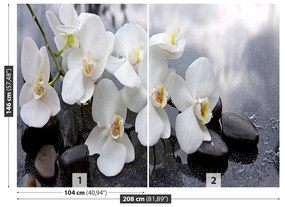 Fototapeta Vliesová Orchidea kamene 104x70 cm