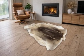 Koberec RENIFER POK016 hnedý / béžový