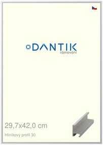 DANTIK rám na obraz 29,7x42 | ALU Stříbrná matná (Plexi Čiré)