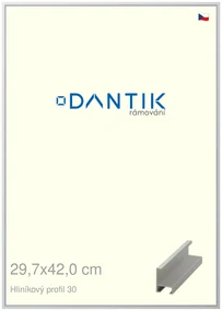 DANTIK rám na obraz 29,7x42 | ALU Stříbrná matná (Plexi Čiré)