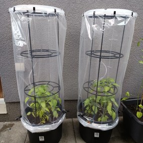 PROSPERPLAST Kvetináč na pestovanie paradajok TOMATO GROWER antracit 39,2cm (max. výška: 153cm) Veľkosť: L