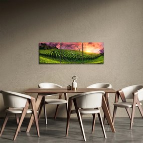 Obraz vinice s farebným nebom (s hodinami) (90x30 cm)