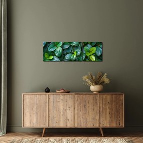 Obraz - Zelené rastliny (s hodinami) (90x30 cm)