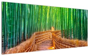 Obraz - Japonský bambusový les (120x50 cm)