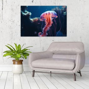Obraz - Medúzka (90x60 cm)