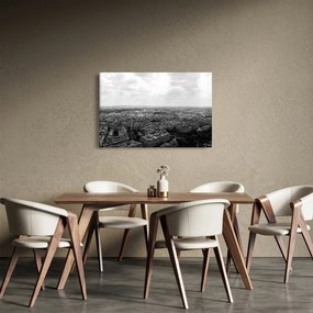 Obraz - Strechy domov v Paríži (90x60 cm)