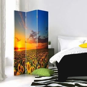 Ozdobný paraván, Krajina se slunečnicemi - 110x170 cm, trojdielny, obojstranný paraván 360°