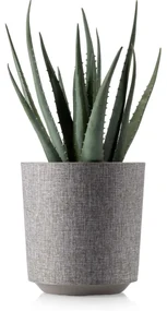 PLASTOVÝ KVETINÁČ ALOE TX 19,5X20 CM BÉŽOVÁ