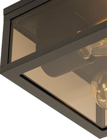 Stropné svietidlo čierne s dymovým sklom 2-žiarovkové IP44 - Charlois