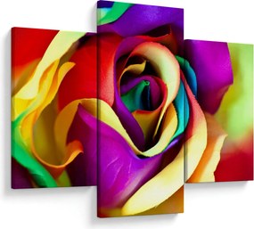 Obraz - Farebná ruža (90x60 cm)