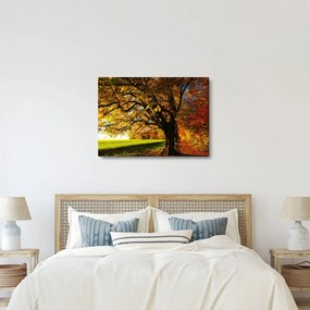 Obraz jesenného stromu (70x50 cm)