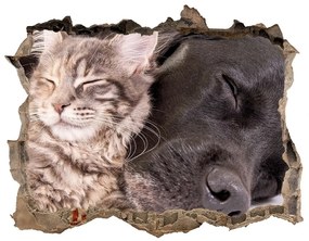Díra 3D foto tapeta nálepka Mačky a psy nd-k-91792125