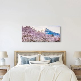 Obraz - Japonsko na jar (120x50 cm)