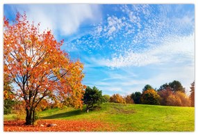 Obraz - Jesenná krajina (90x60 cm)