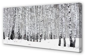 Obraz canvas zimný brezy 120x60 cm
