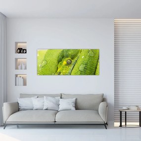 Obraz hada (120x50 cm)