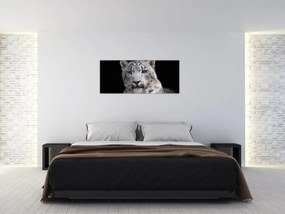 Obraz - Leopard snežný (120x50 cm)